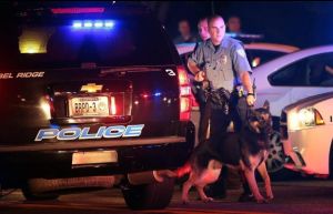 Cop and K9