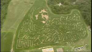 corn maize chris kyle