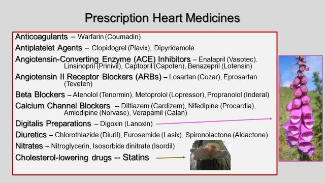 Costo cialis farmacia del vaticano