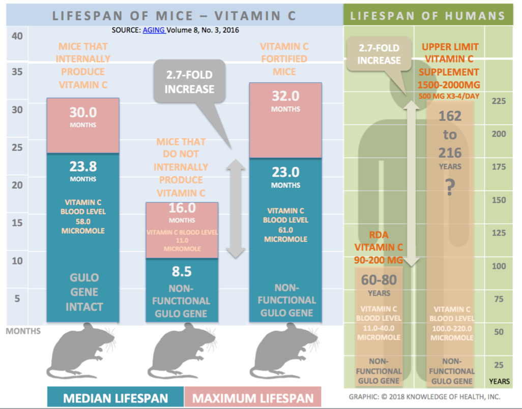 Lifespan. Lifespan перевод. Lifespan lifespan lifespan разница. Increase your lifespan.