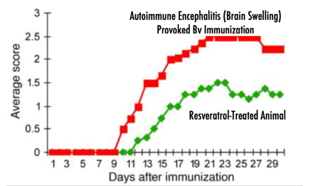 COVID-19 Coronavirus Testing: No, the President Is Not Bats_ _t Crazy - LewRockwell