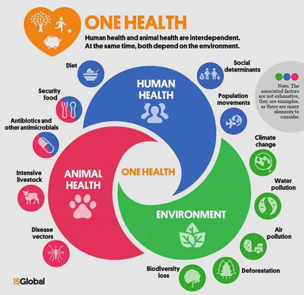 The WHO Will Have Authority To Mandate Vaccines Globally - Vimarsana News
